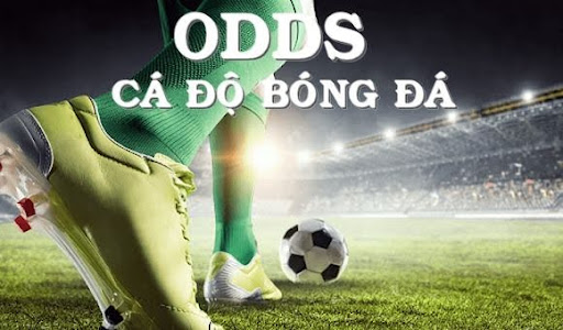 cach-soi-keo-odds-1